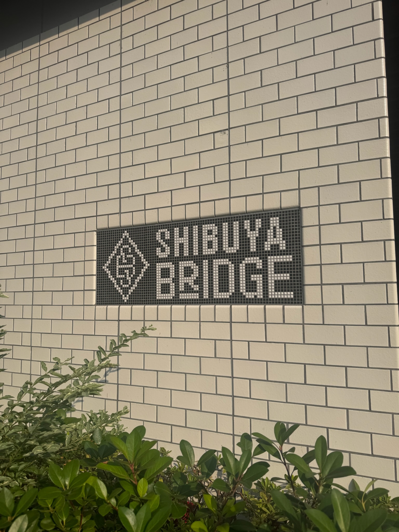 渋谷ブリッジ