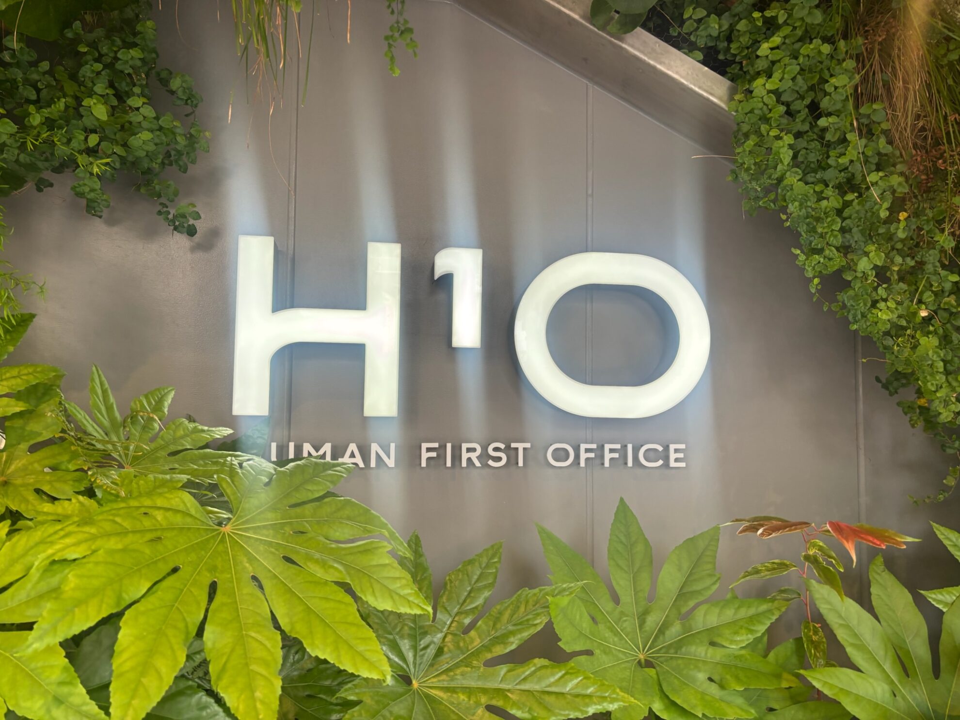 H¹O青山